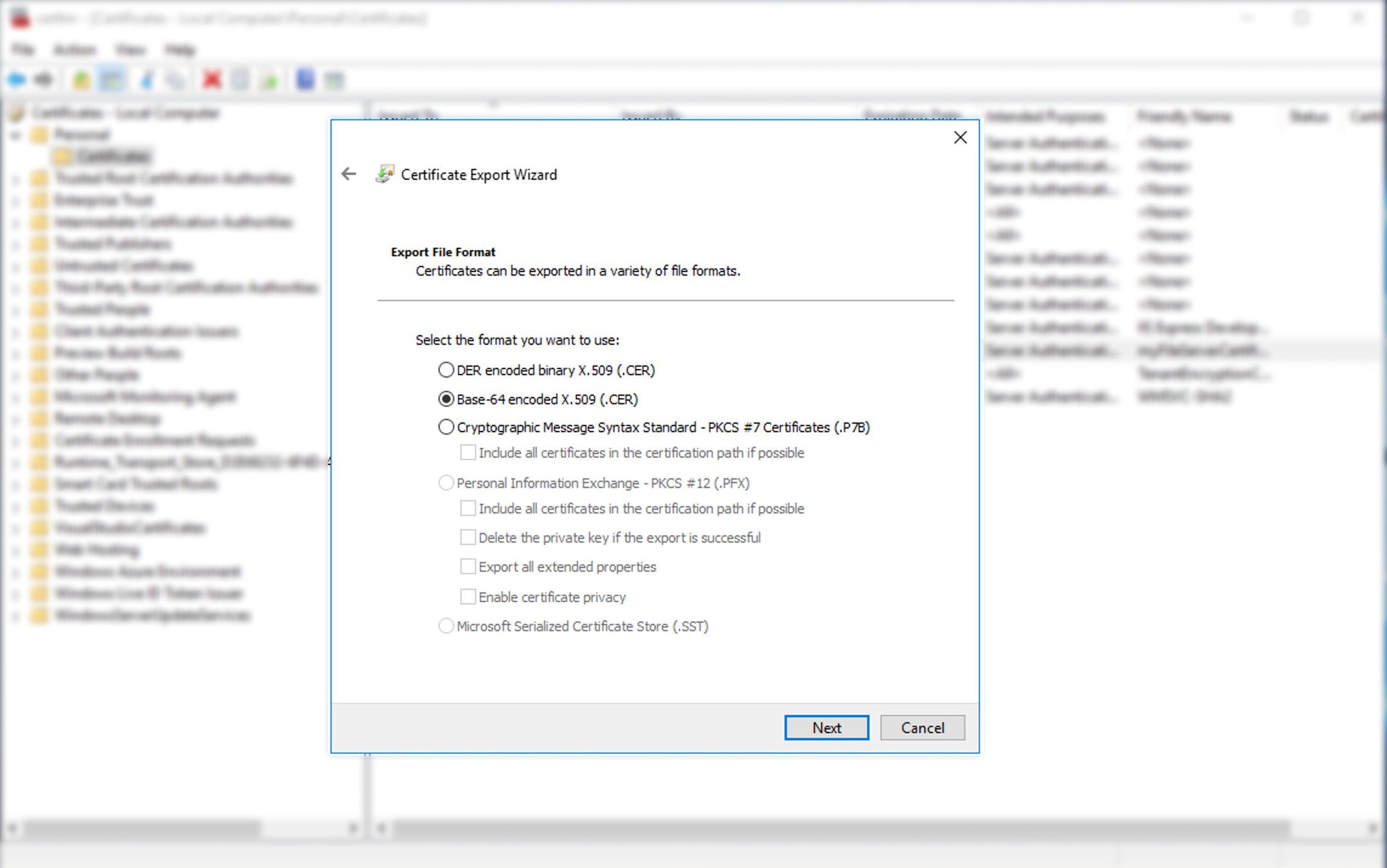 export-cer-format.jpg